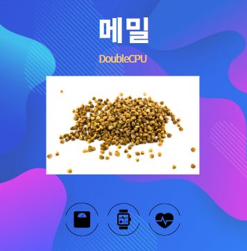 메밀 알아보기