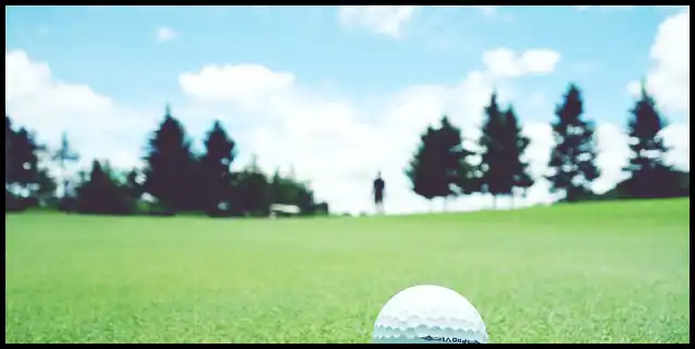 파크골프의 기본자세 (+ 퍼터 )