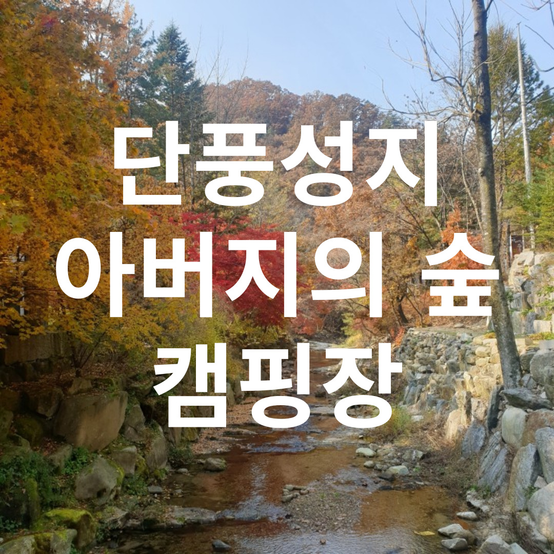 아버지의 숲