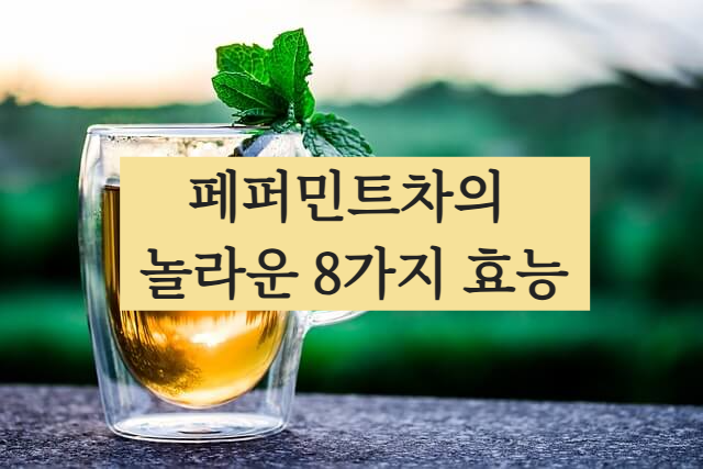 페퍼민트차의 효능