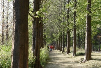 365 서울챌린지 1기 참여혜택·신청방법 총정리