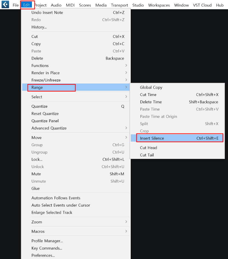 Edit _ Range_ Insert Silince