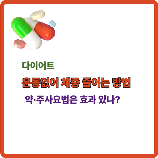 운동 없이 체지방 줄이는 방법 안내