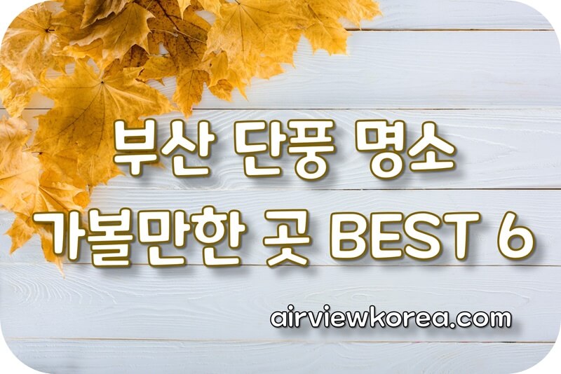 부산-단풍-명소-가볼만한곳-추천-소개-안내