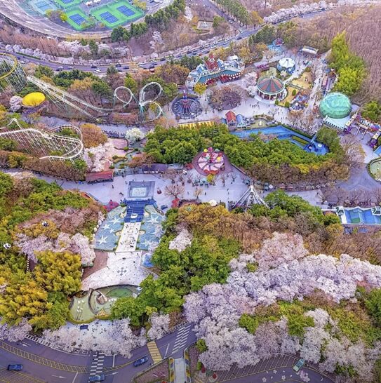 이월드-대구-가볼만한곳-추천