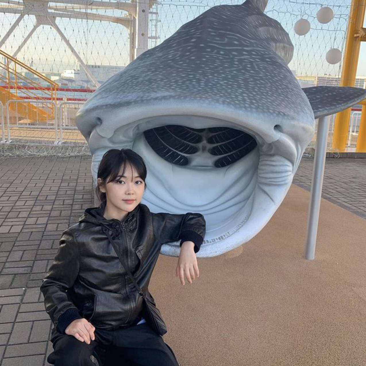 미노이 상어