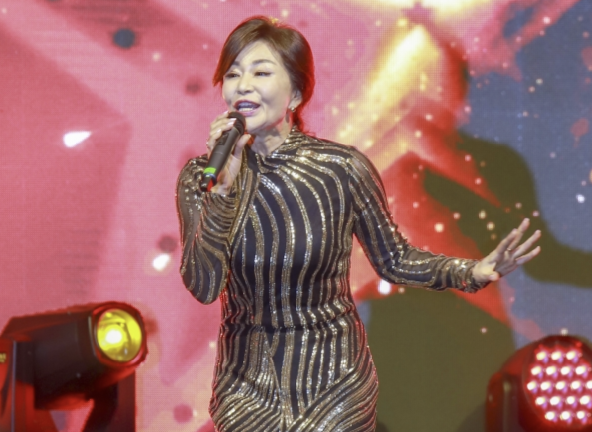 진미령 가수활동