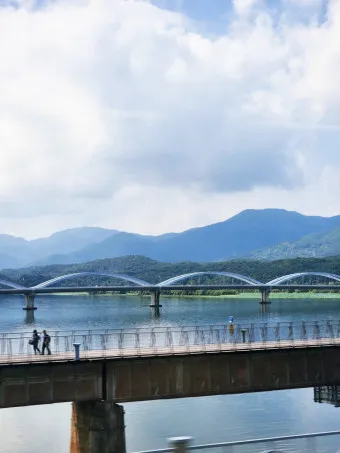 양평 가볼만한곳 베스트10 두물머리 연잎핫도그_20