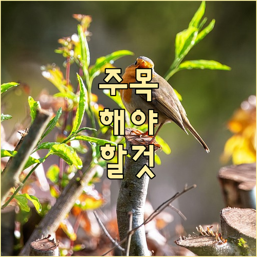 육아휴직급여 기간 분할 사용 가능 급..