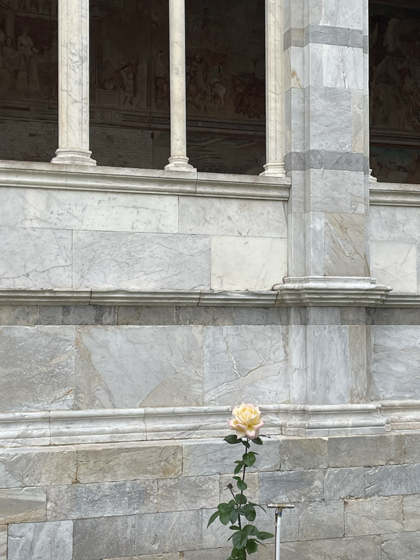 향기 블렌딩과 동서양 철학의 만남