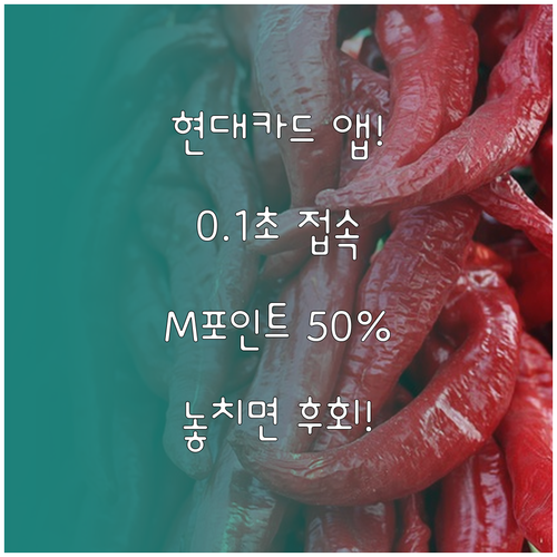 현대카드 앱 간편 로그인으로 0.1초..