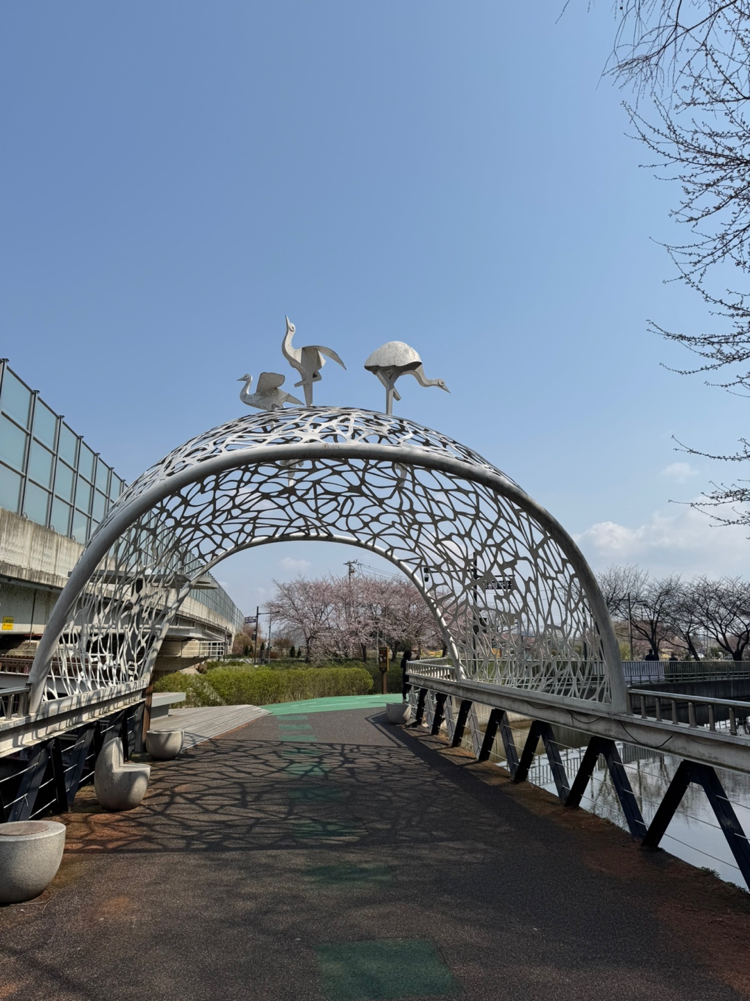 김포벚꽃축제
