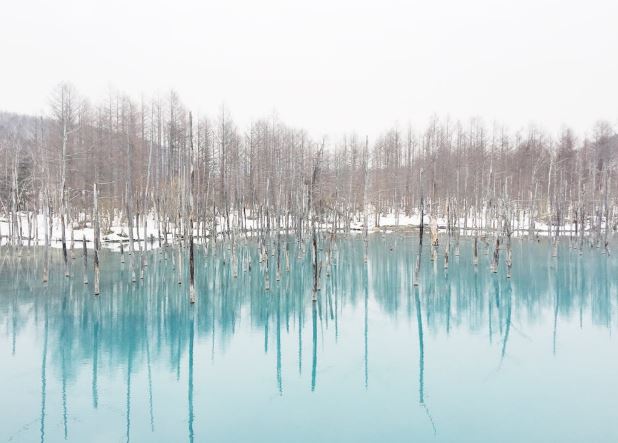 일본 훗카이도 12월 날씨 옷차림 추천 여행지