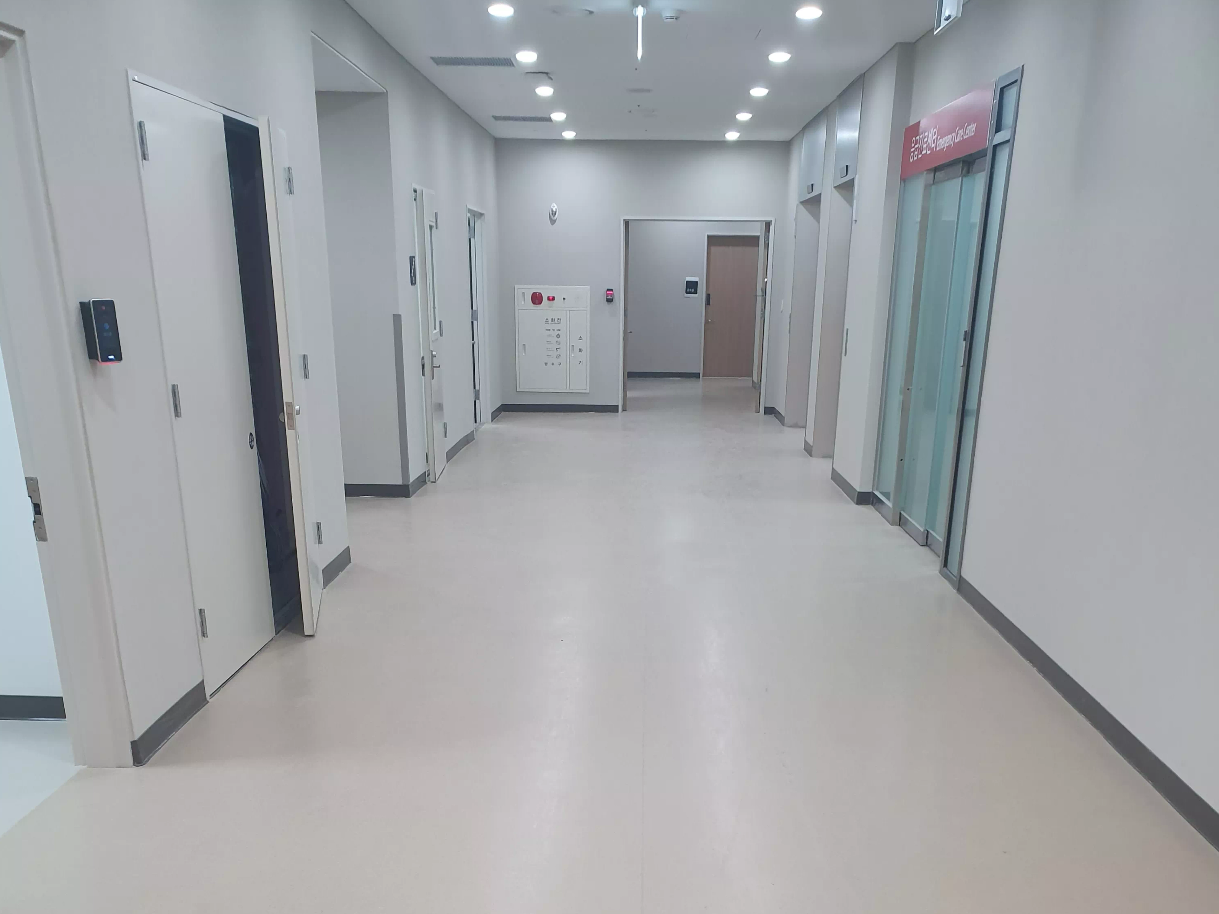 포보 스피라