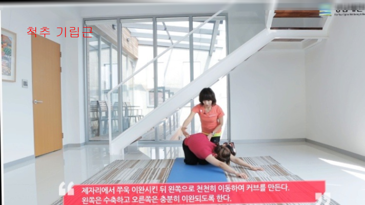 척추 기립근15