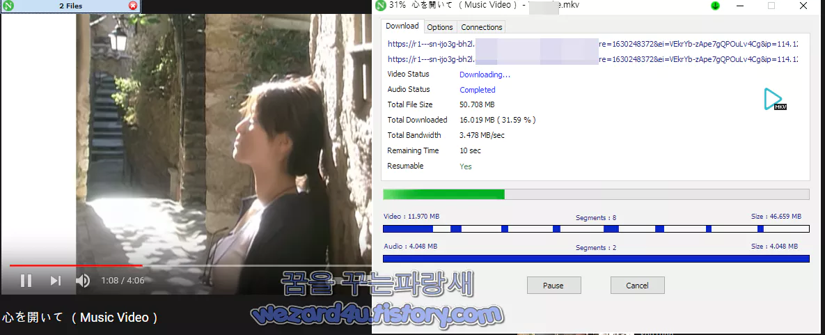 Neat Download Manager 동영상 다운로드
