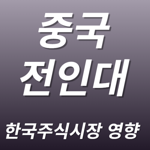 중국 전인대