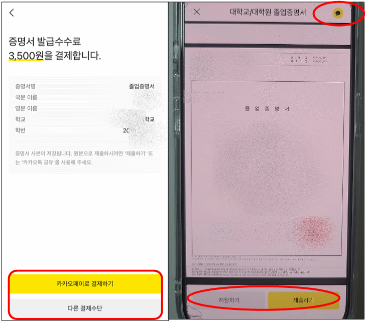 대학교 졸업증명서
