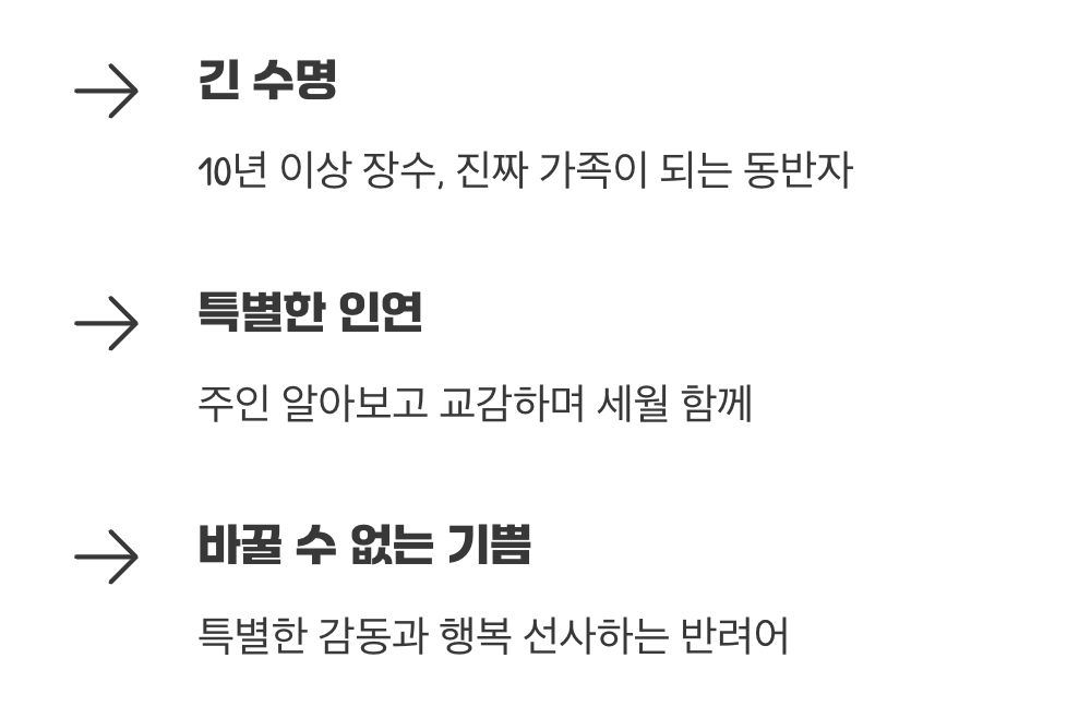 오랜 시간을 함께하는 진짜 가족