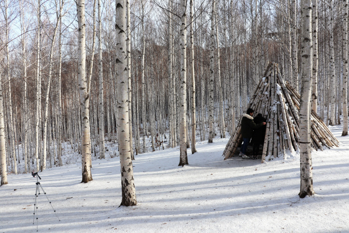 몸과 마음이 치유되는 전국 숲멍 힐링 명소 BEST 3