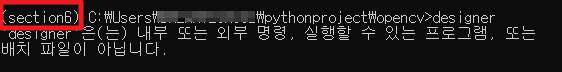 가상환경에서는 designer 환경변수 작동 안됨