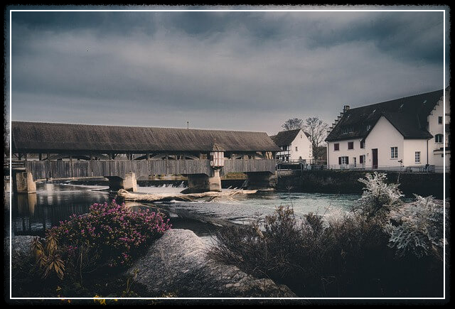 임차인 단독 신고 가능 여부 안내