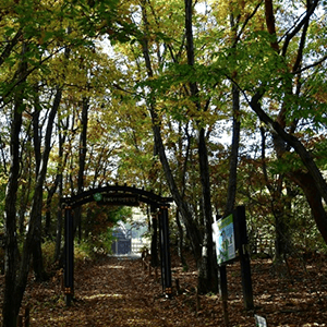 오봉코스1