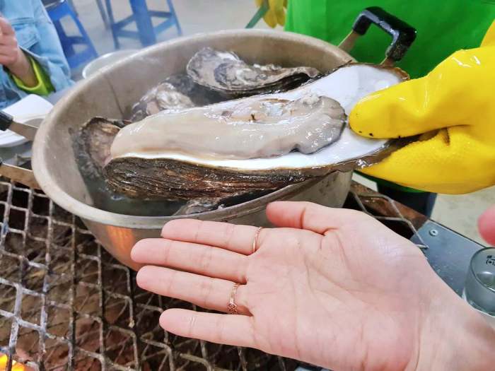 생방송오늘저녁 섬진강 하동 벚굴 구이 강굴 벚굴찜 벚굴전 벚굴죽 재첩국 재첩회무침 맛집 추천