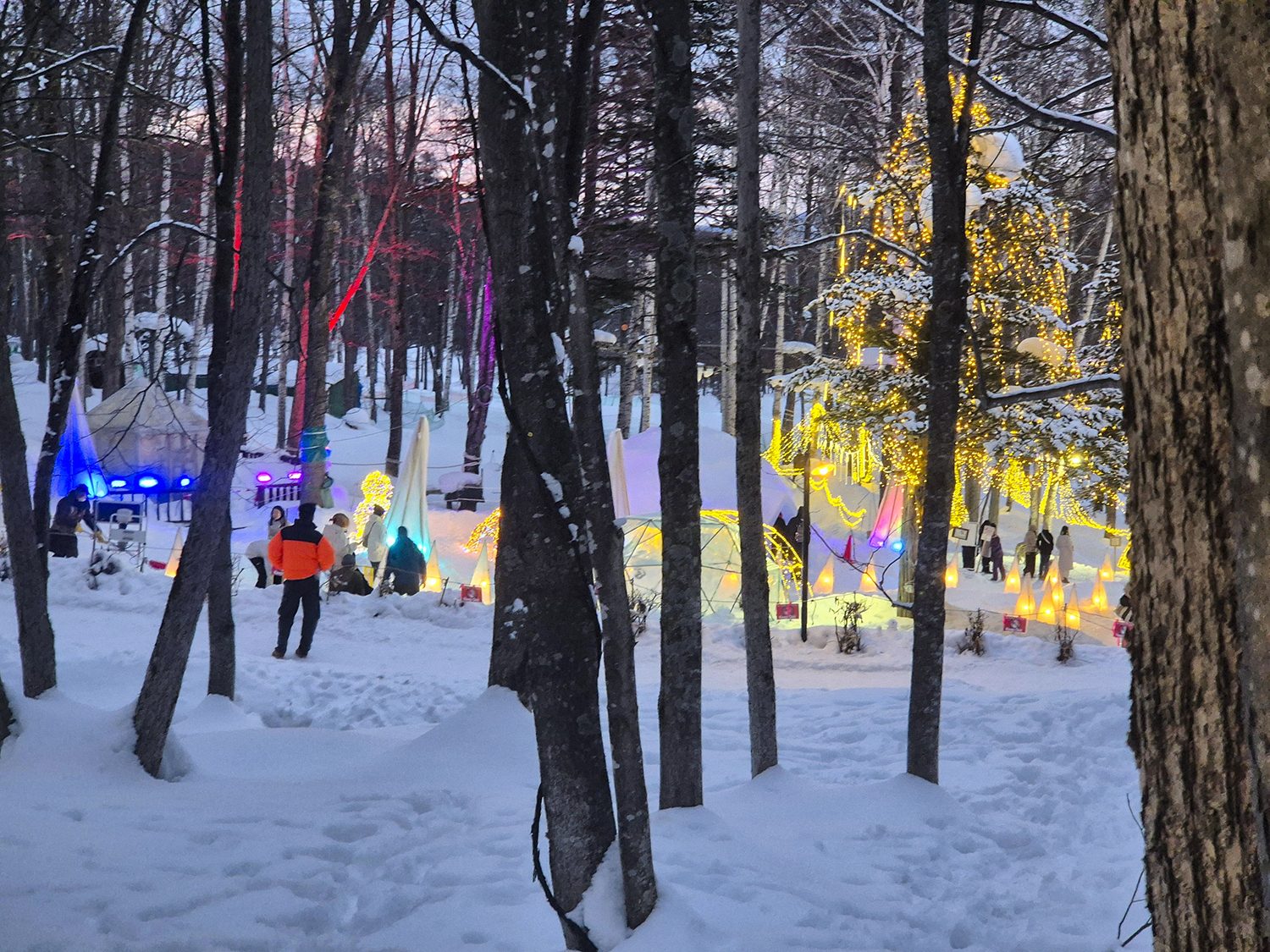 닝구르테라스 액티비니 중 하나&amp;#44; 썰매 1