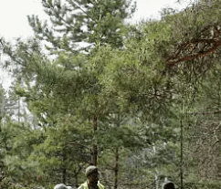 산림복지서비스이용권