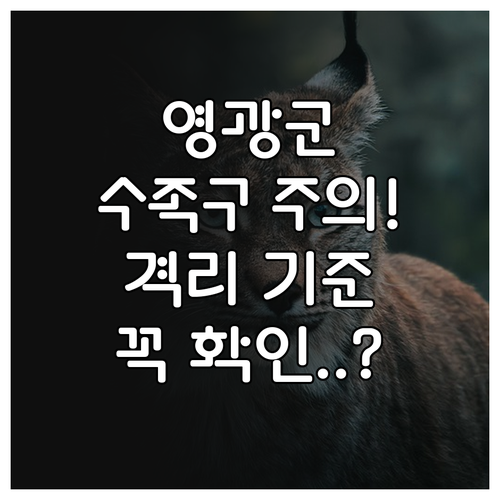 영광군 수족구 전염 예방 및 격리 등..