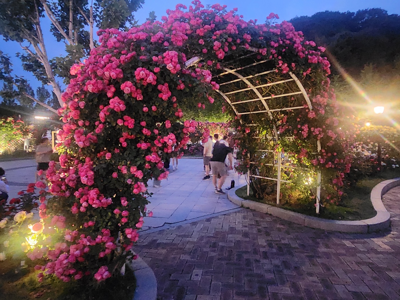 에버랜드 장미축제 야간 방문 후기: 야간 퍼레이드, 불꽃축제 시간, 장소, 1열자리 꿀팁 정리