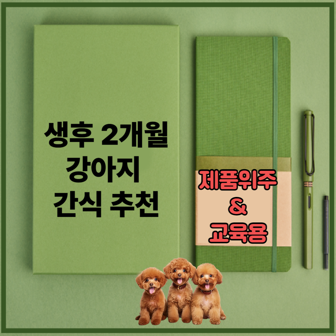 생후 2개월 강아지 간식 추천