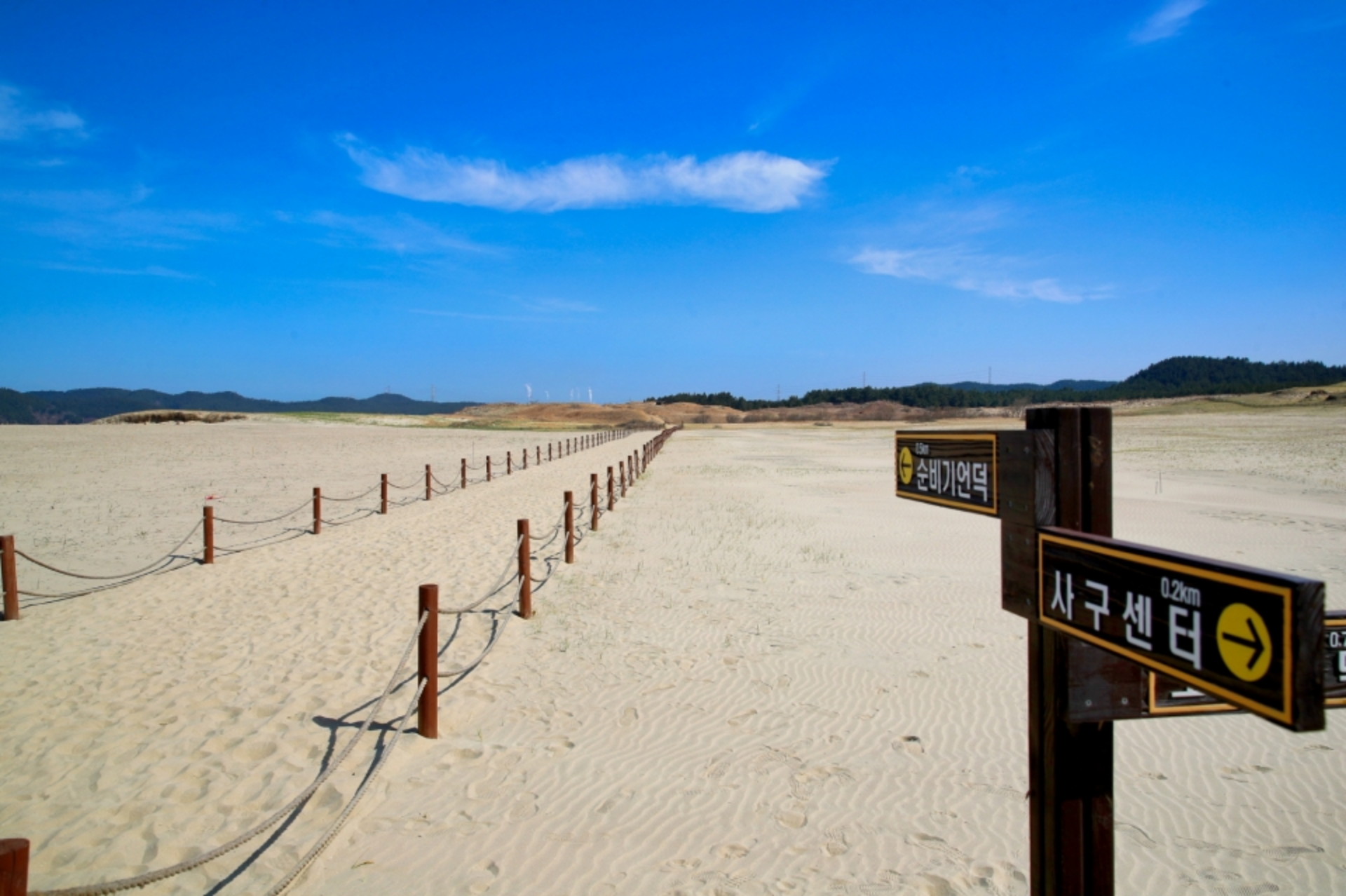 신두리-해안사구-전경