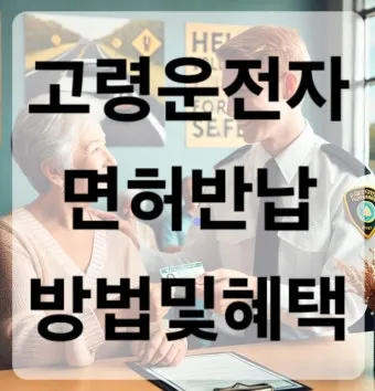 운전면허 반납 혜택 교통비 지원 대체교통 안전 이동법_12
