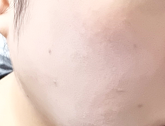 아멜리 도화쿠션