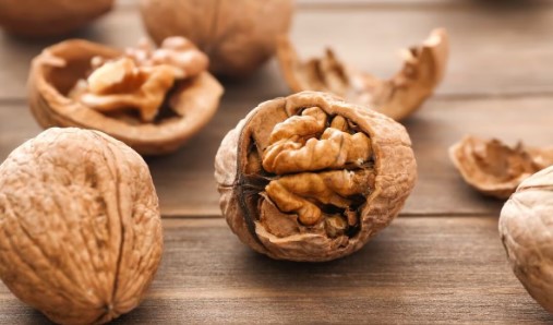 호두 자주 묻는 질문 FAQ