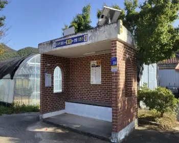 고창 핑크뮬리 축제 꽃객 프로젝트_15