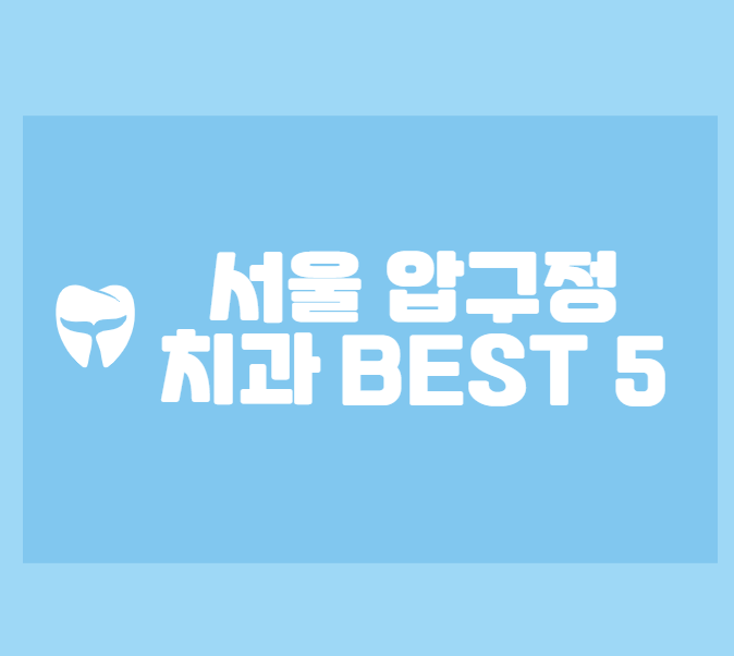 서울 압구정 치과