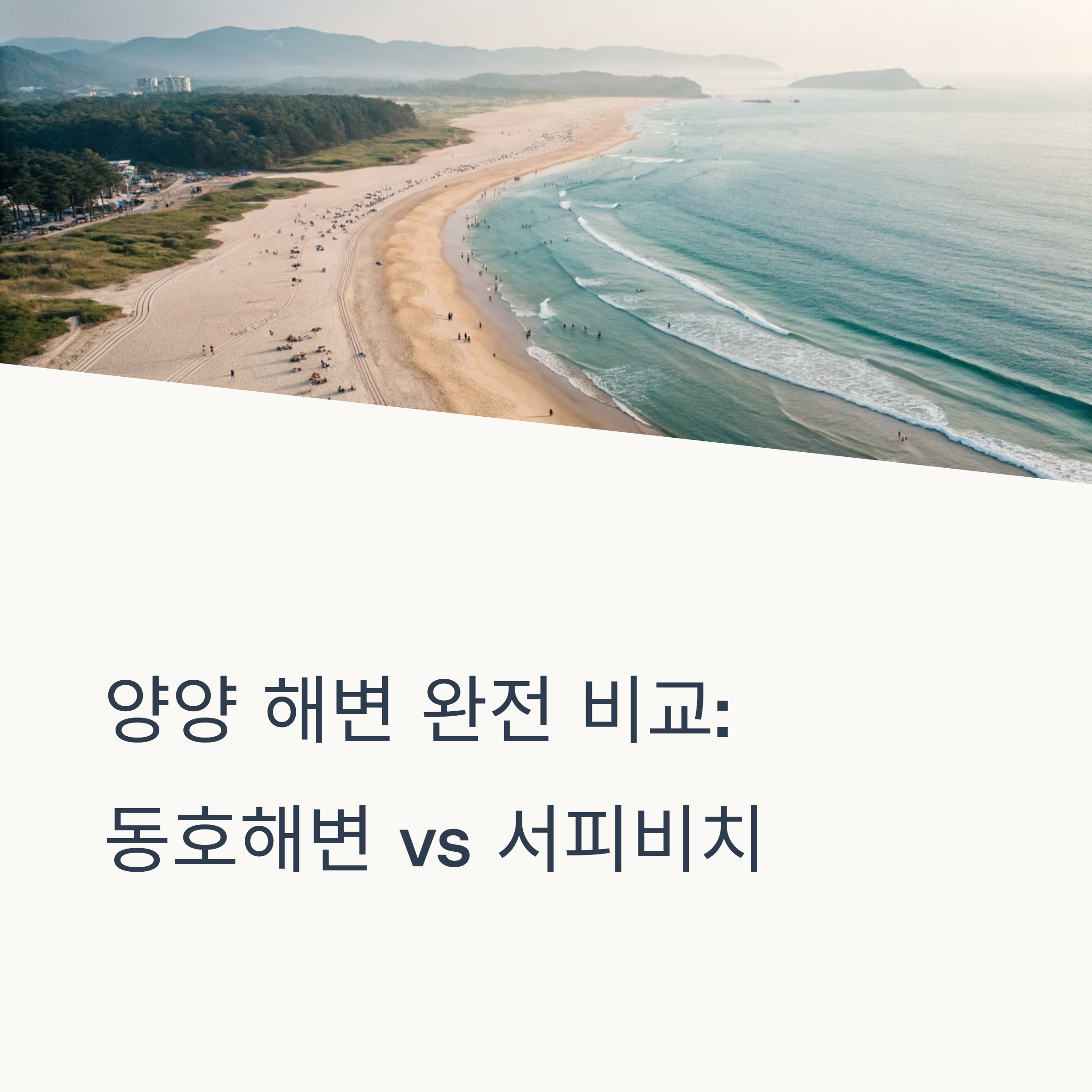 양양 해변 완전 비교