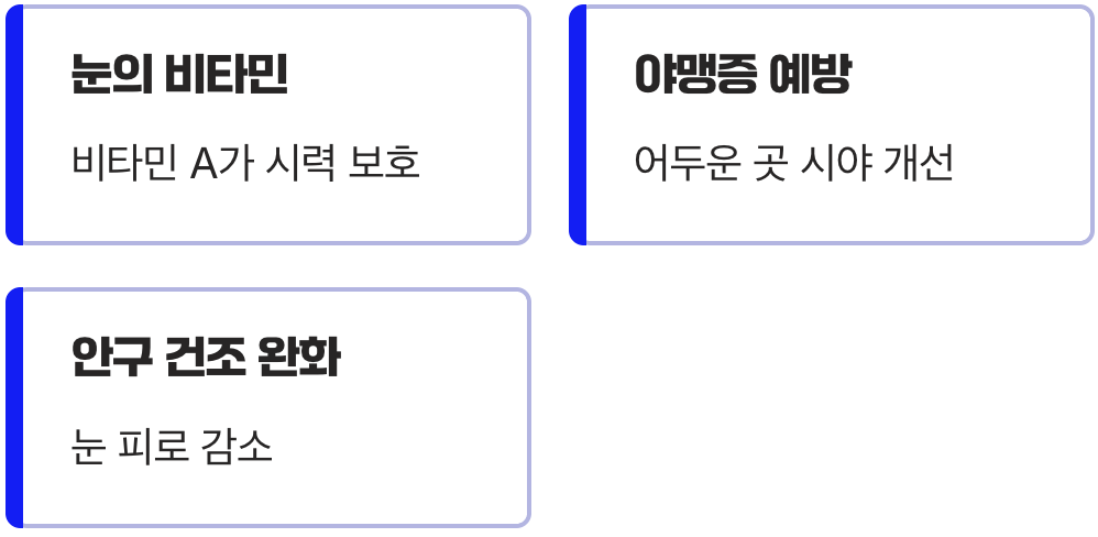 침침한 눈&amp;#44; 스마트폰 세상 속 쉼터
