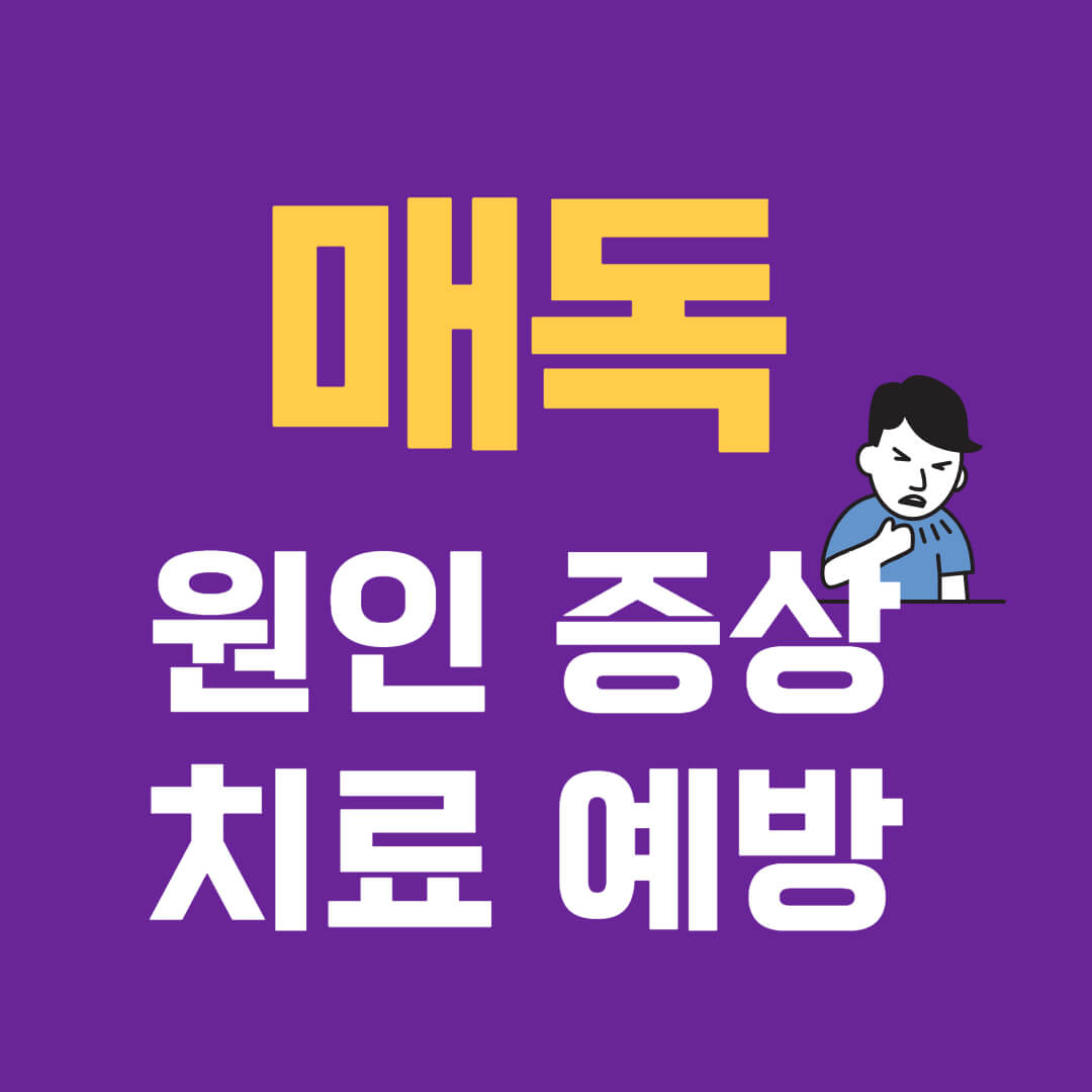 매독 증상 원인 전염 치료 예방