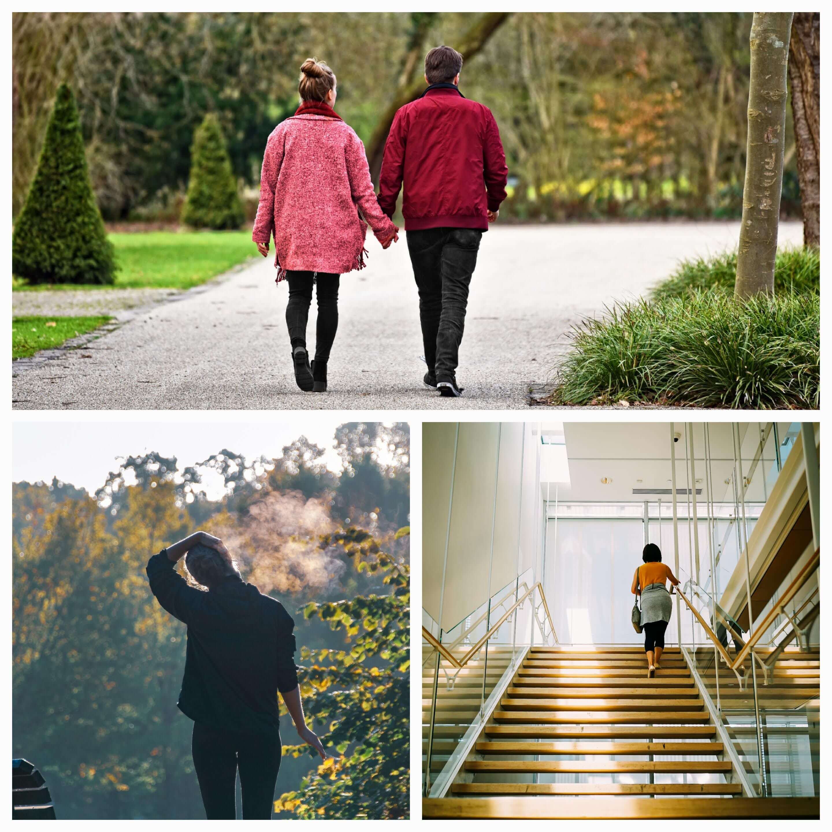 건강한 신체 활동 : 스트레칭, 산책, 계단 이용하기