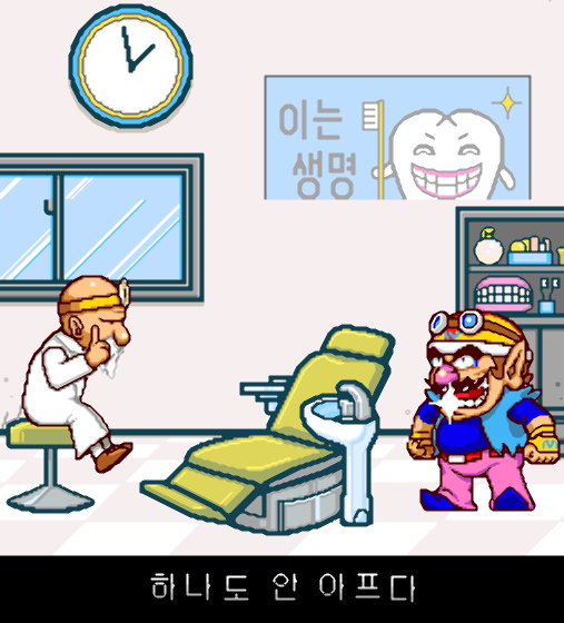 닌텐도 DS 정발판