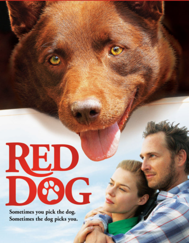 레드독 영화 포스터