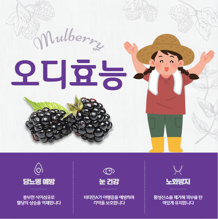 오디 효능 부작용 제철 먹는법 완벽정리(+칼로리 성질)