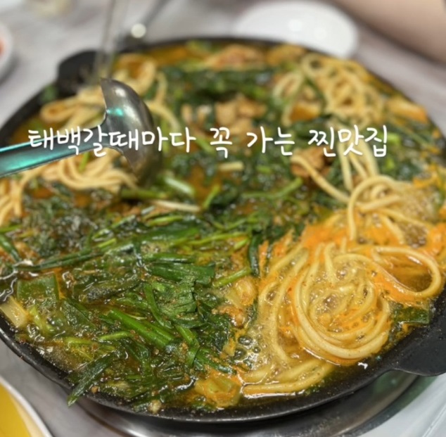강원도-태백-삼척-물닭갈비-텃밭에서노는닭