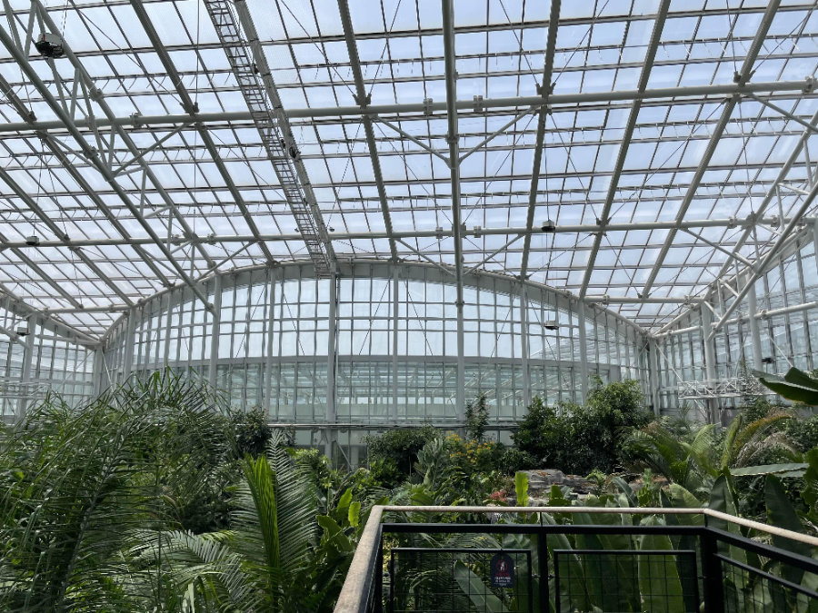 국립 세종수목원 사계절 전시온실 열대식물전시원