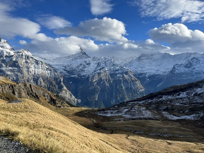 탈모 샴푸1위 탈모 고민 끝! 로게인폼 효과와 후기 집중분석