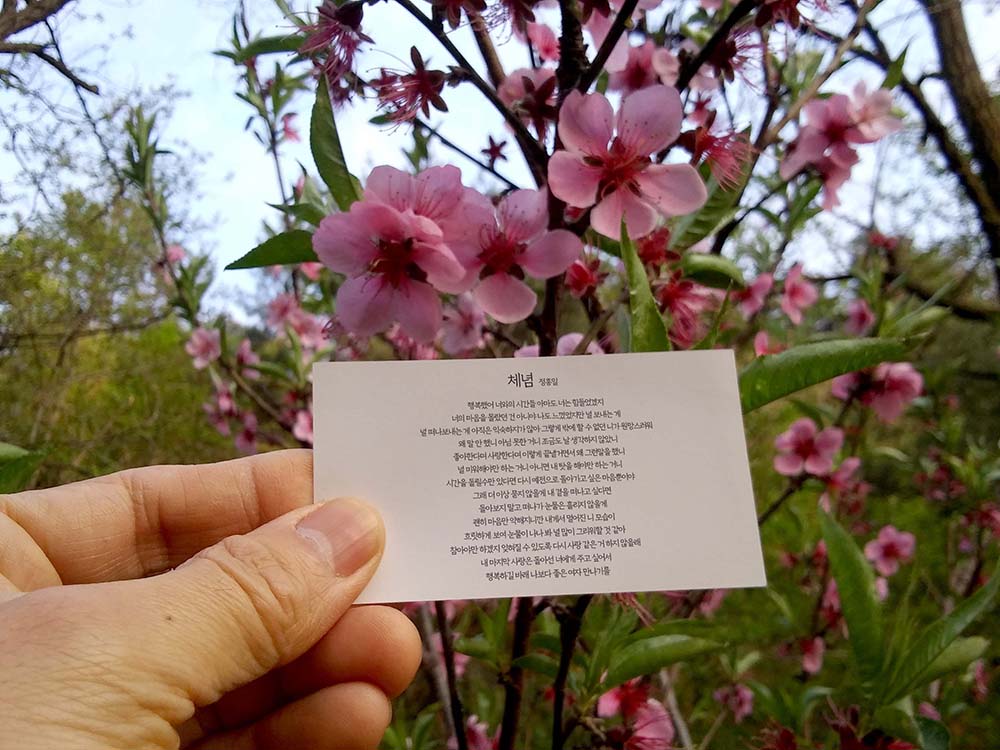 정홍일의 체념(Resignation)